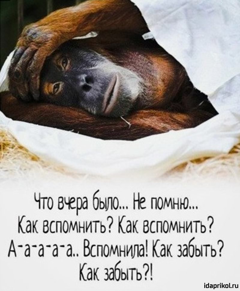 Что вчера было Не помню Как вспомнить Как вспомнить Атага Вспомнила Как забыть Как забыть іааргіКпіш