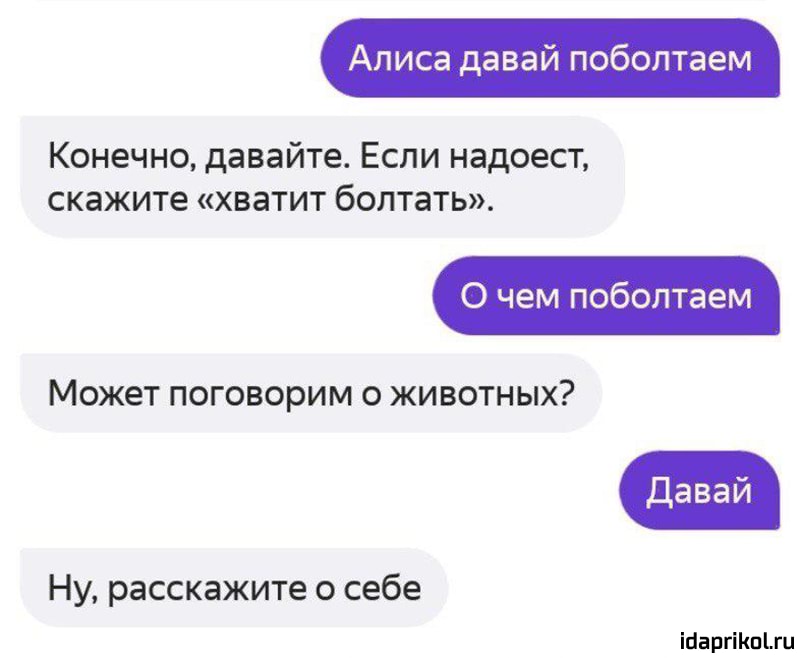 Алиса Давай Познакомимся