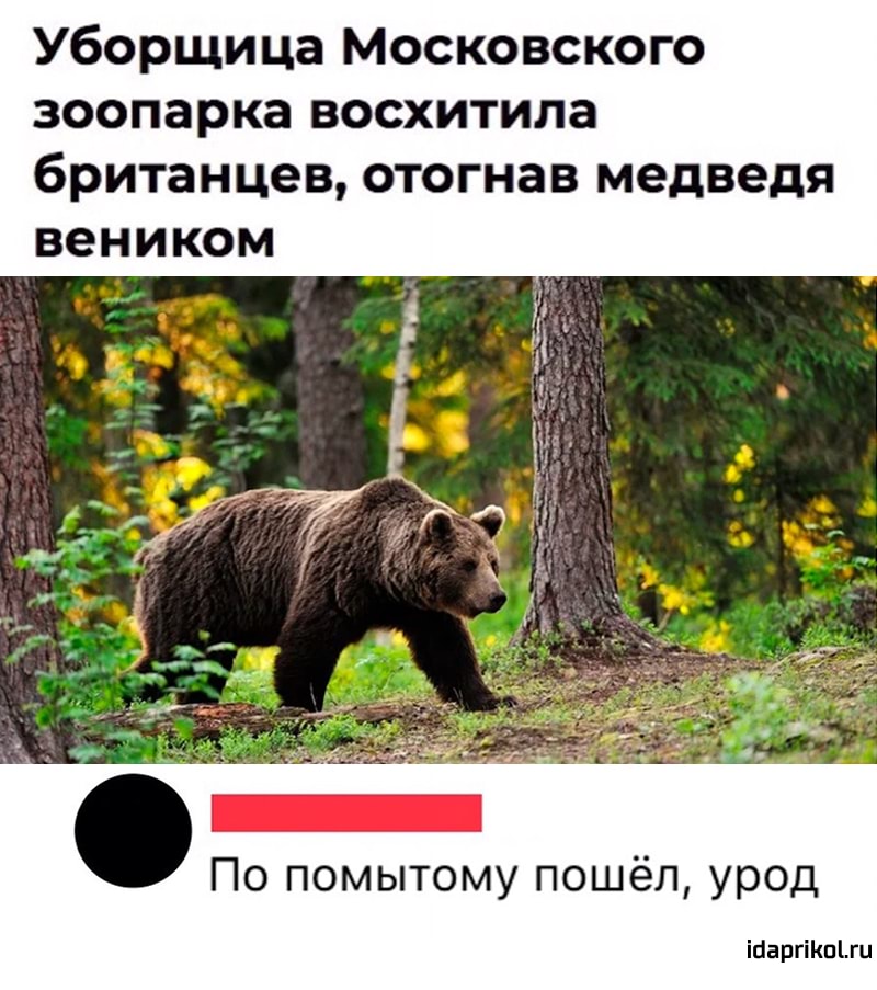 Уборщица Московского зоопарка восхитила британцев отогнав медведя веником По помытому пошёл урод ібаргіКпіш
