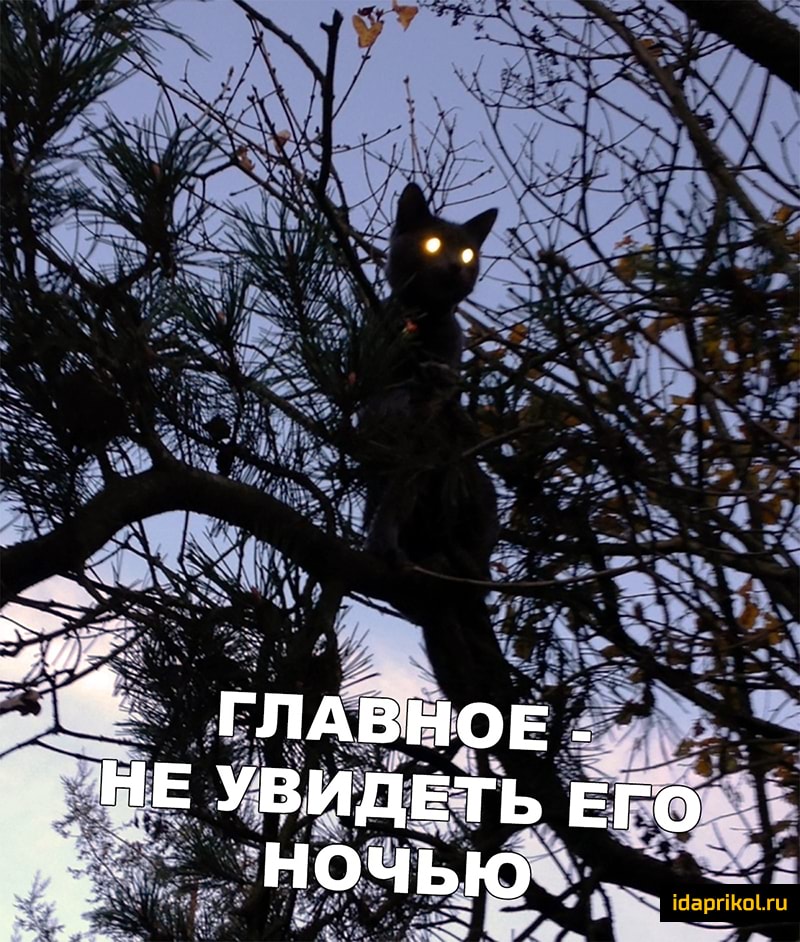 1 и г Ы и п 1 а
