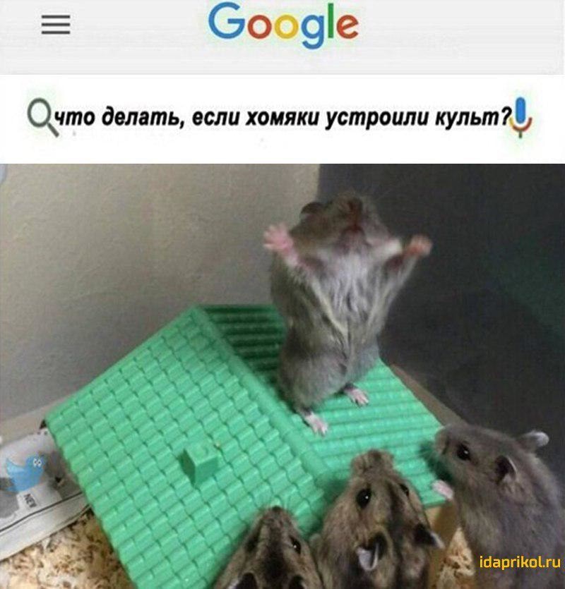 оогтіе ПВПЧ м п и м м м У и к х и м о в т и д о т