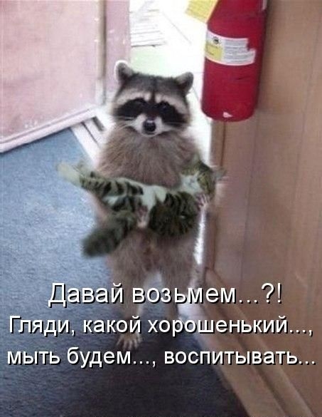 Давай выйти Гляди какой хор шенький мыть будем воспитывать