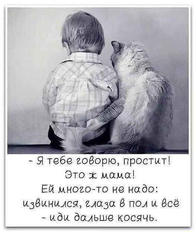 Я тебе козерю простит Это х мама Ей многочо не надо идёинился глаза 8 пол и Всё иди дальше косячь