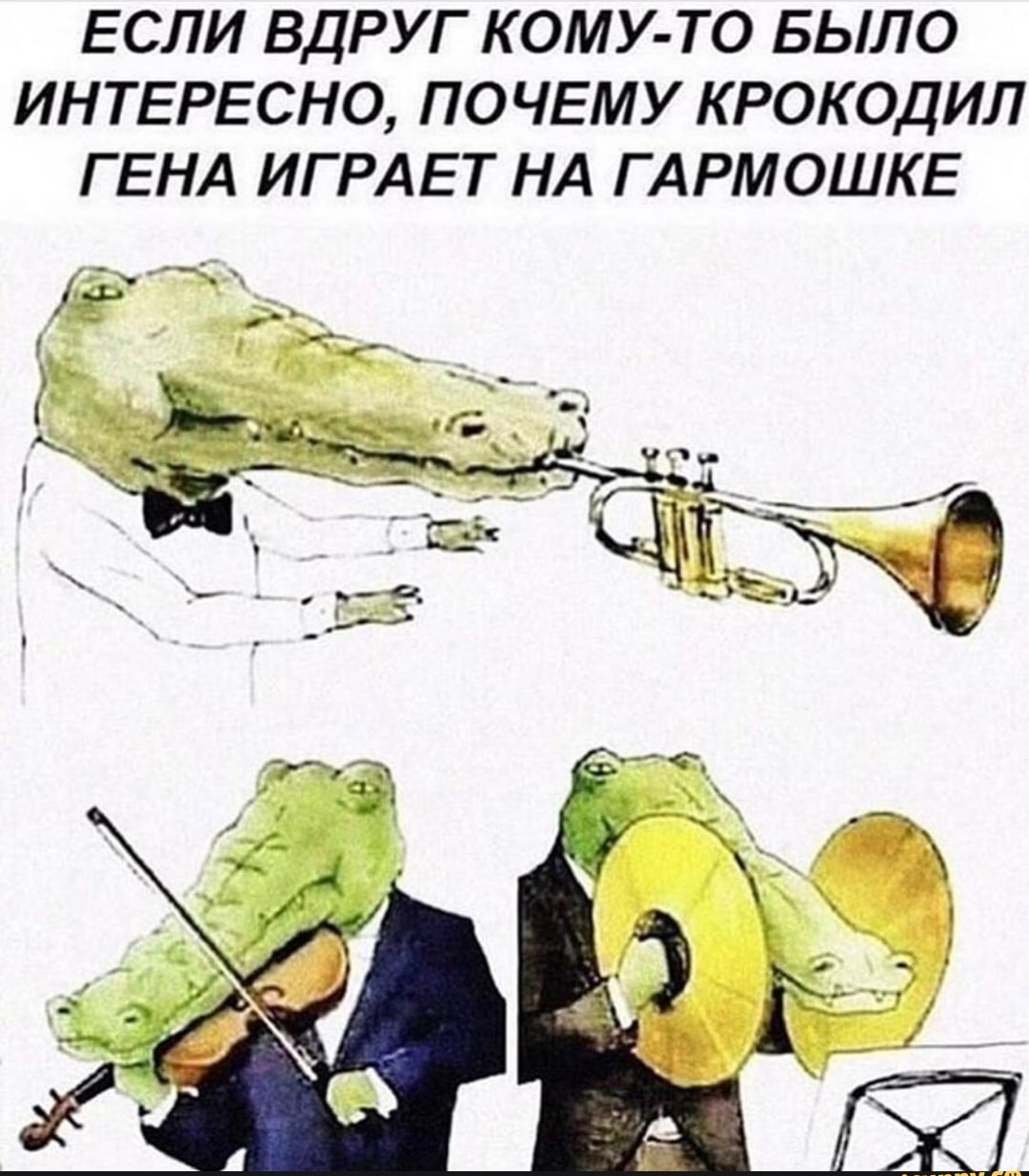 ЕСЛИ ВДРУГ КОМУ ТО БЫЛО ИНТЕРЕСНО ПОЧЕМУ КРОКОДИЛ ГЕНА ИГРАЕТ НА ГАРМОШКЕ