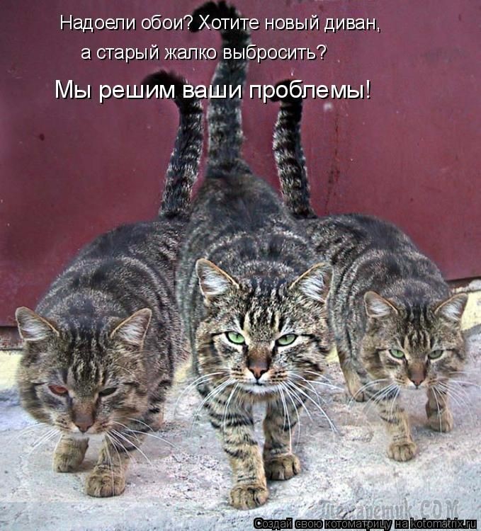 Надоели обои Хотите новый диван а старый жапко выбросить т Мы решим ваши проблемы