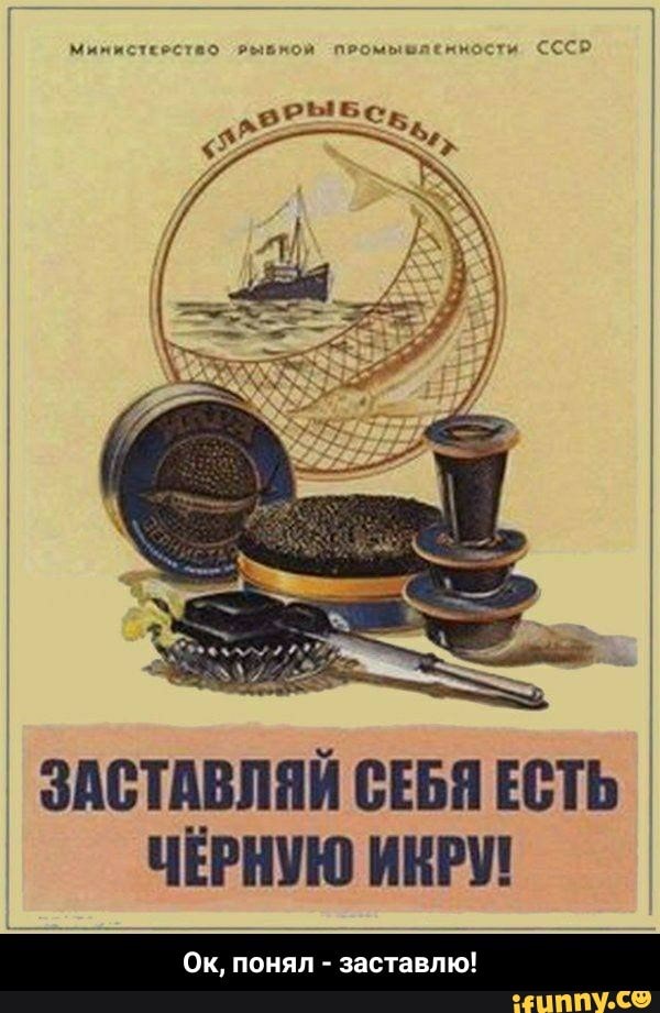 ЗАСТАВМЙ СЕБЯ ЕСТЬ ЧЁРНУЮ ИНП няп заставлю П СО