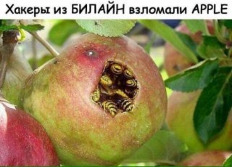 ЛАЙН взломали АРРЬЕ Хакеры из БИ