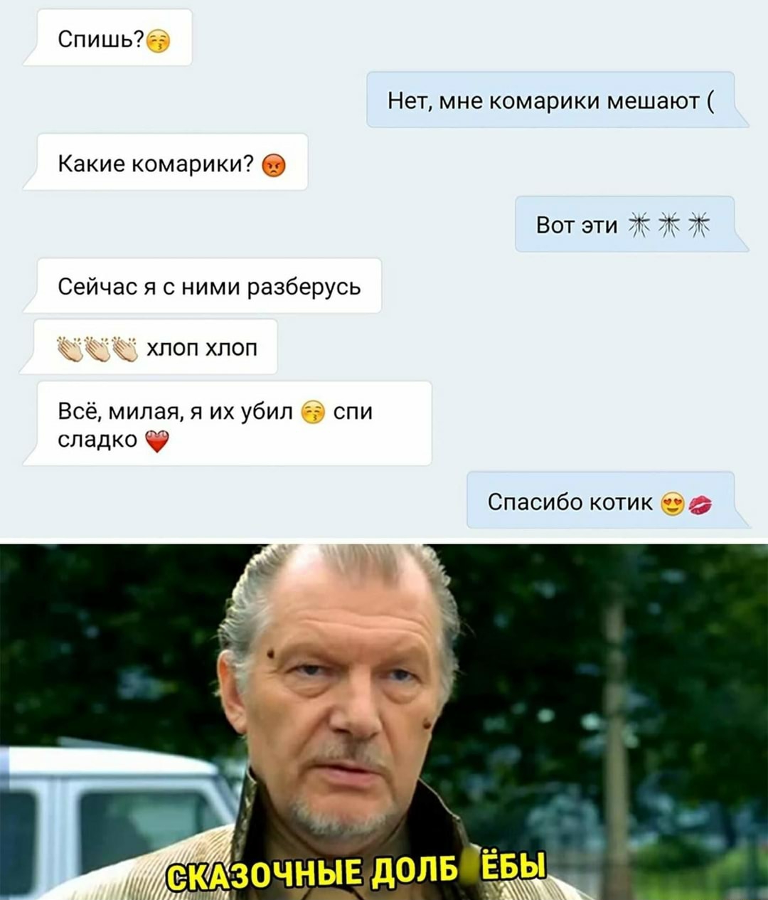 Спишь Нет мне комарики мешают Какие комарики Вот эти т Т Т Сейчас я с ними разберусь _ хлоп хлоп Всё милая я их убил спи сладко _ Спасибо котик