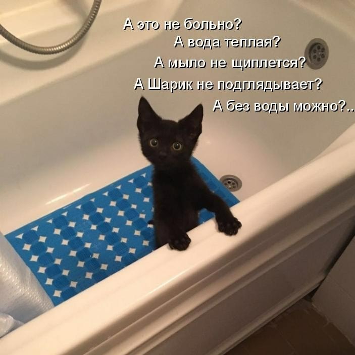 А это не больно А вода теплая А мыло не щигшггся А Шарик не гшдглядьшаег