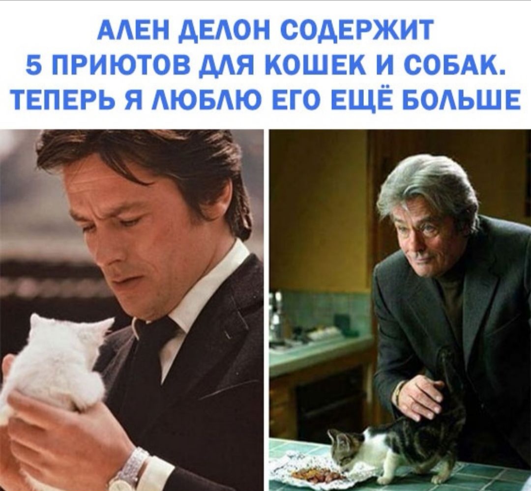 ААЕН дЕАОН СОДЕРЖИТ 5 ПРИЮТОВ дАЯ КОШЕК И СОБАК ТЕПЕРЬ Я ЮБАЮ ЕГО ЕЩЁ БОАЬШЕ