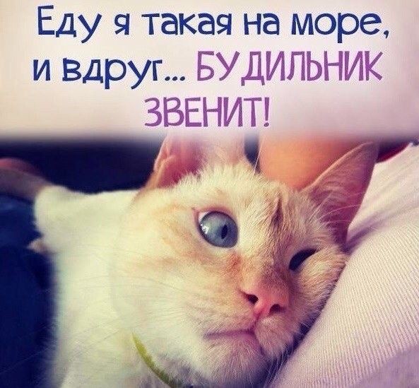 Еду такая на море и Вдруг БУДЁЁЁЬНЁЁК ЗЁЁЕНЁЦЗ г