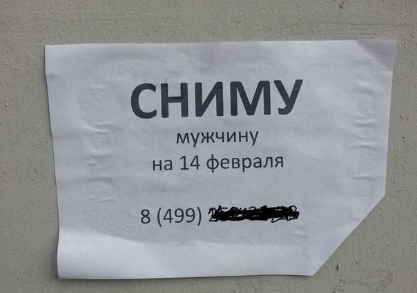 СНИМУ мужчину на 14 февраля 8 499