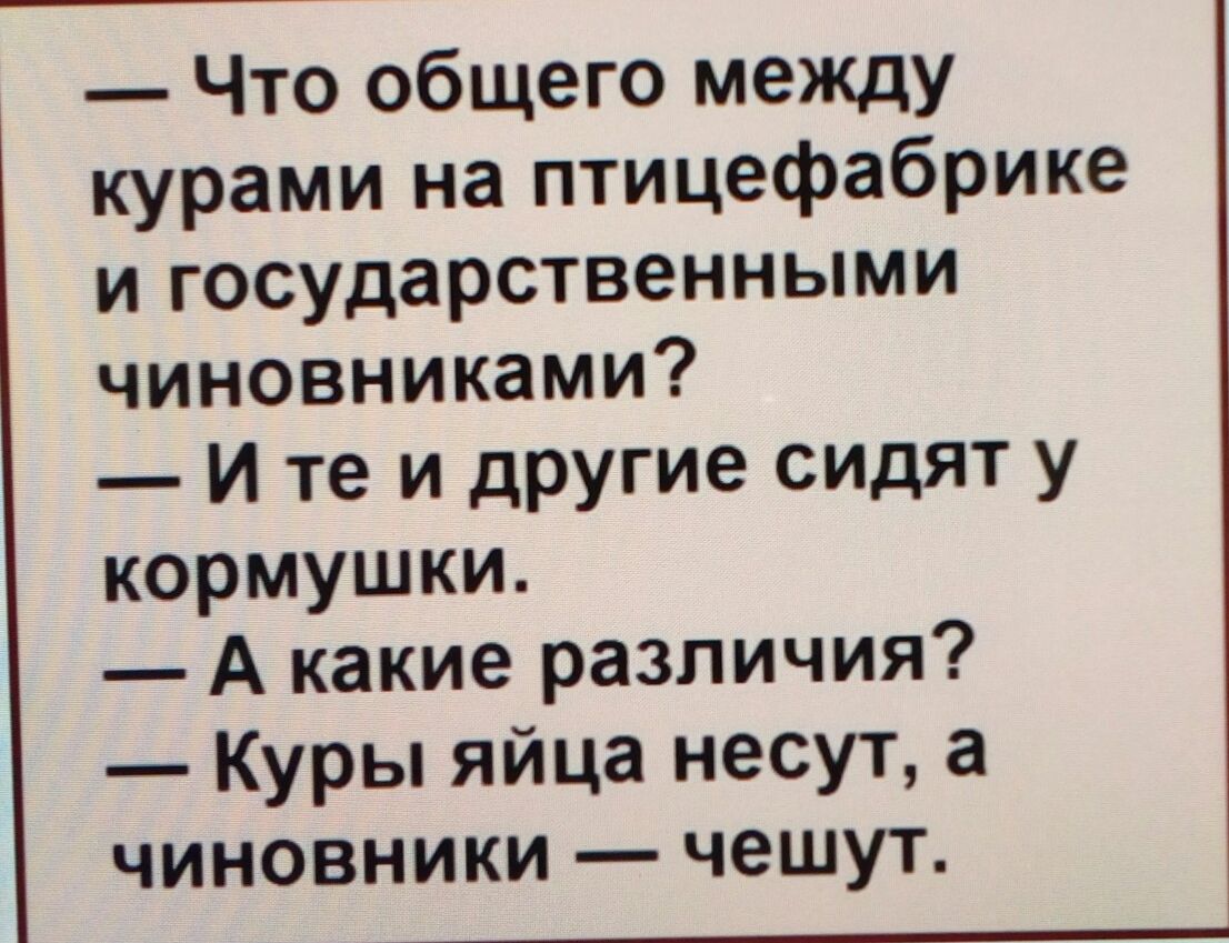 Что общего между курами на птицефабрике и государственными чиновниками И те и другие сидят у кормушки А какие различия Куры яйца несут а чиновники чешут