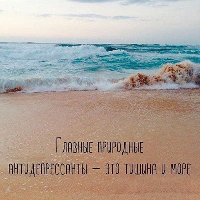 Г ЛНВНЫЕ ПРИРОДНЫЕ янтидгпггссянты это тишина и МОРЕ