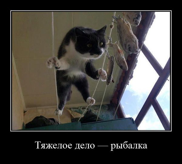 Тяжелое Дело рыбалка