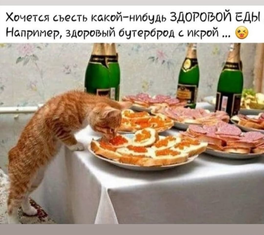 Хочется съесть какойнибудь ЗДОРОВОЙ ЕДЫ Например здоровый бутерброд с икрой