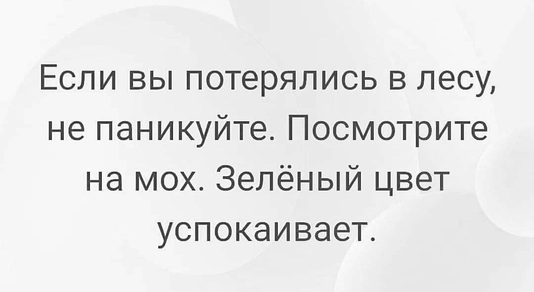 Если вы потерялись в лесу не паникуйте Посмотрите на мох Зелёный цвет успокаивает