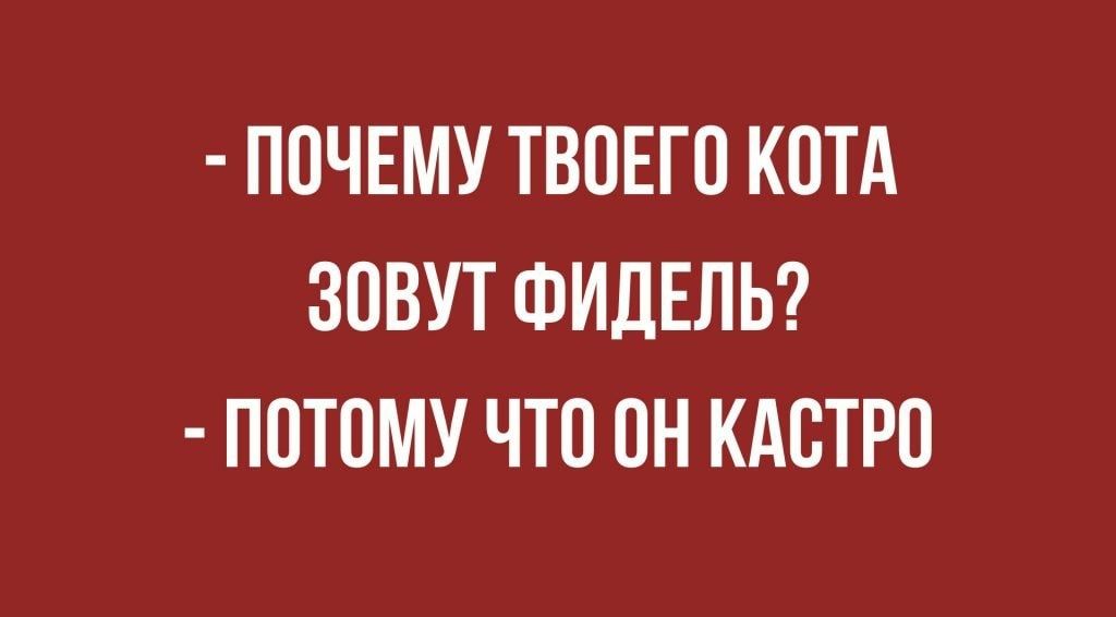ПОЧЕМУ ТВОЕГО КОТА ЗОВУТ ФИДЕЛЬ ПОТОМУ ЧТО ОН КАОТРО