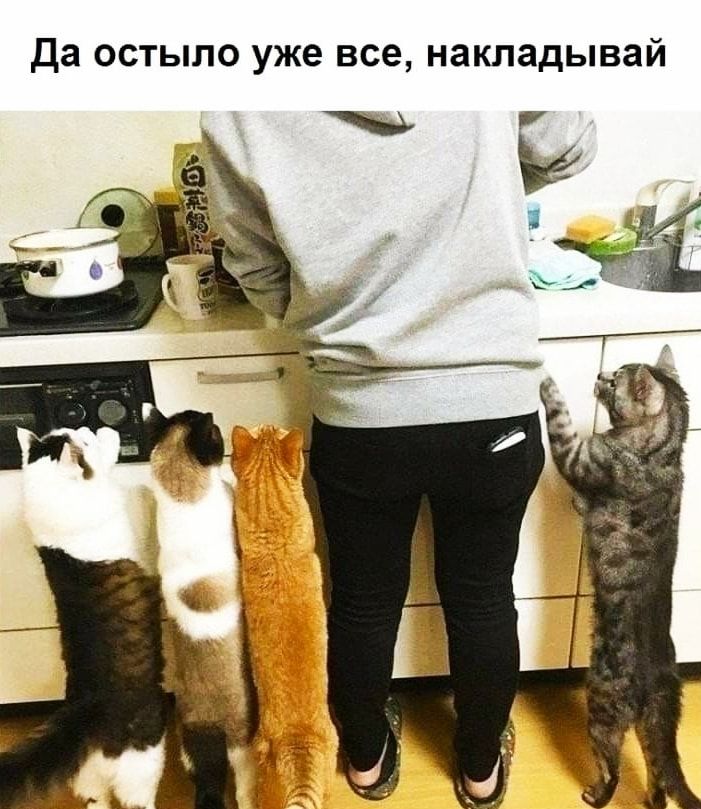 да остыло уже все накладывай