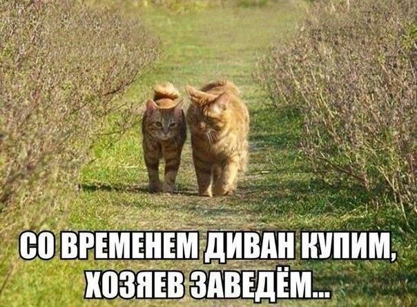 во вгвмёнгтійівднішпИМ кпзнівэтздвідём
