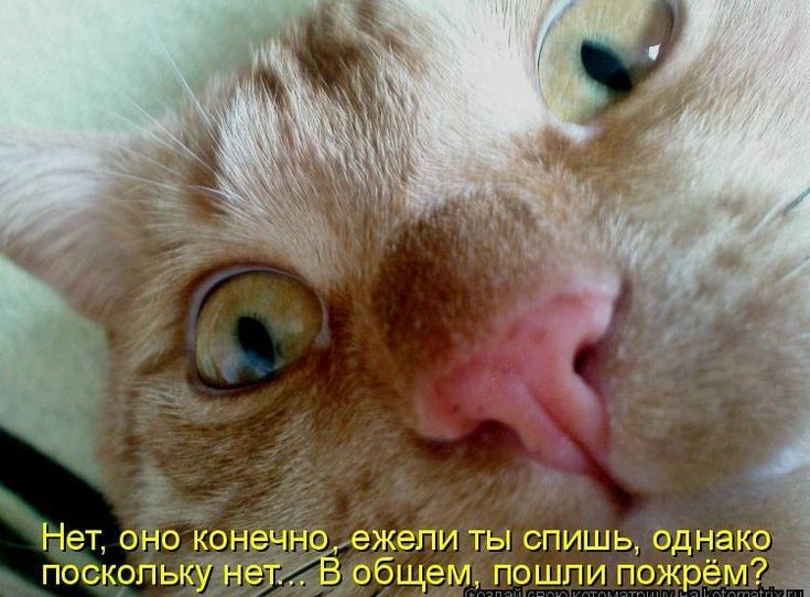Нет оно КОНЭЭНО ежели ты спишь однако ёіёобщем пощпи пожрём