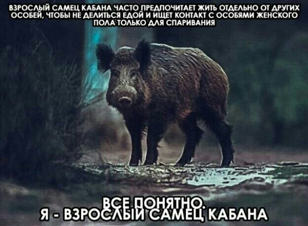 РОСЁ сыпи КАБАМА ЧАСЮ гыпочииы хип ОАЕАШО с АРУгих асов чтовы нЕ АЕАИТЪСП ЕА и ища котла с осопми ЖЕНСКОГО ОМ ОМКО мя СМРИАНИЯ