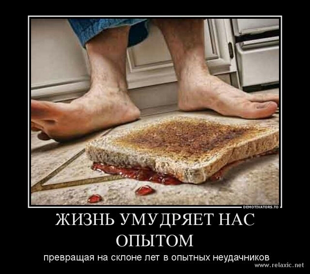 ЖИЗНЬ УМУДРЯЕТ НАБ ОПЫТОМ превращая на склоне пет в опытных неудачников гвіахісмві