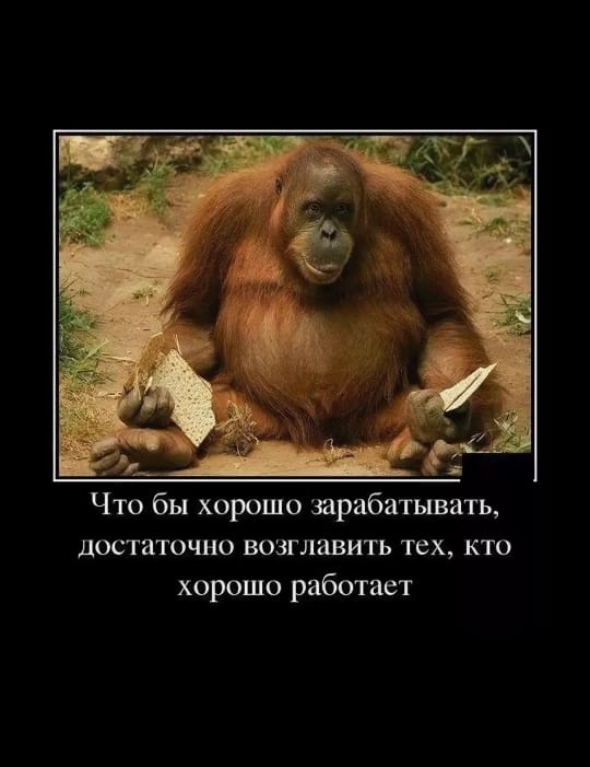 Что бы хорошо зарабатывать достаточно возглавить тех кто хорошо работает