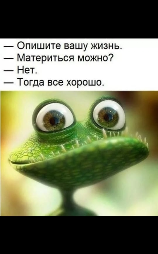 Опишите вашу жизнь Материться можно Нет Тогда все хорошо