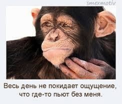 Весь день не покидает ощущение что где то пьют без меня