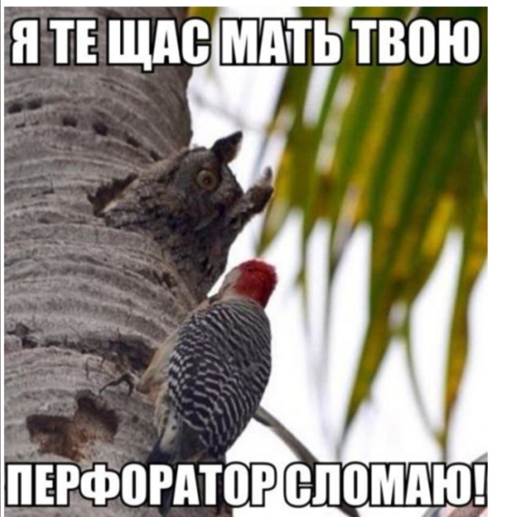 Я ТЕ ЩАС ММ ТВОЮ 1 _11 _ _ пифогдтоіг спо А