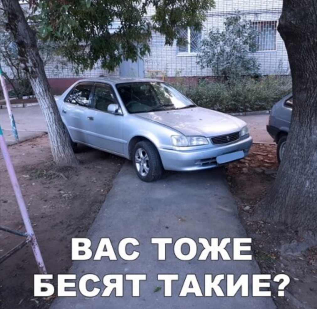 вдртожв _ весятьтдкив