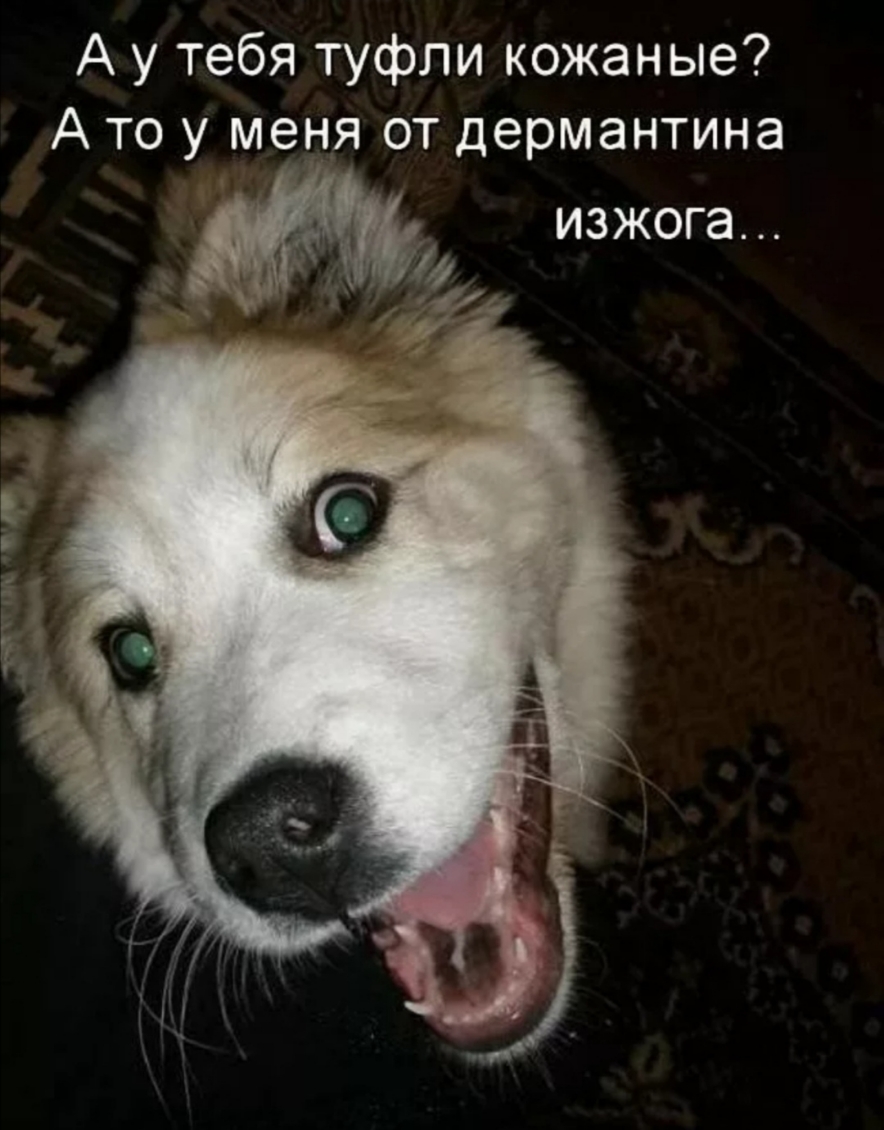 А у тебя туфли кожаные А то у меня от дермантина изжога ф 41
