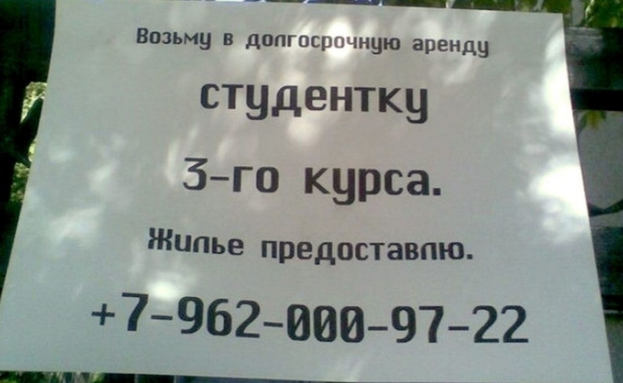 Возьму в допгосрмнцю арендч студентку 3го курса Жилье предоставлю 79620009722 __