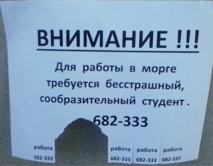ВНИМАНИЕ Для работы в морге требуется бесстрашный сообразительный студент 82 333 работа работа 9360га авг 333 681 333 682 333