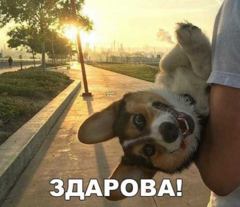 ЗДАРОВА