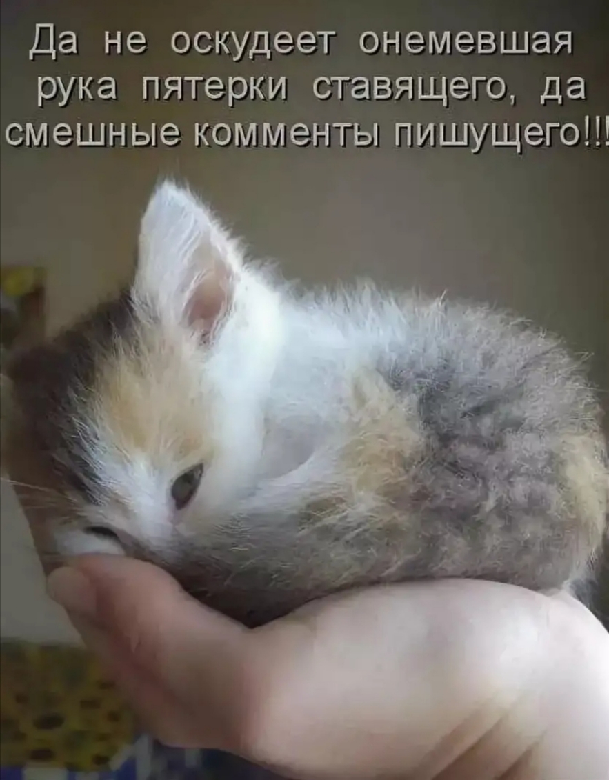 Да не оскудеет онемевшая рука пятерки ставящего да смешные комменты пишущего