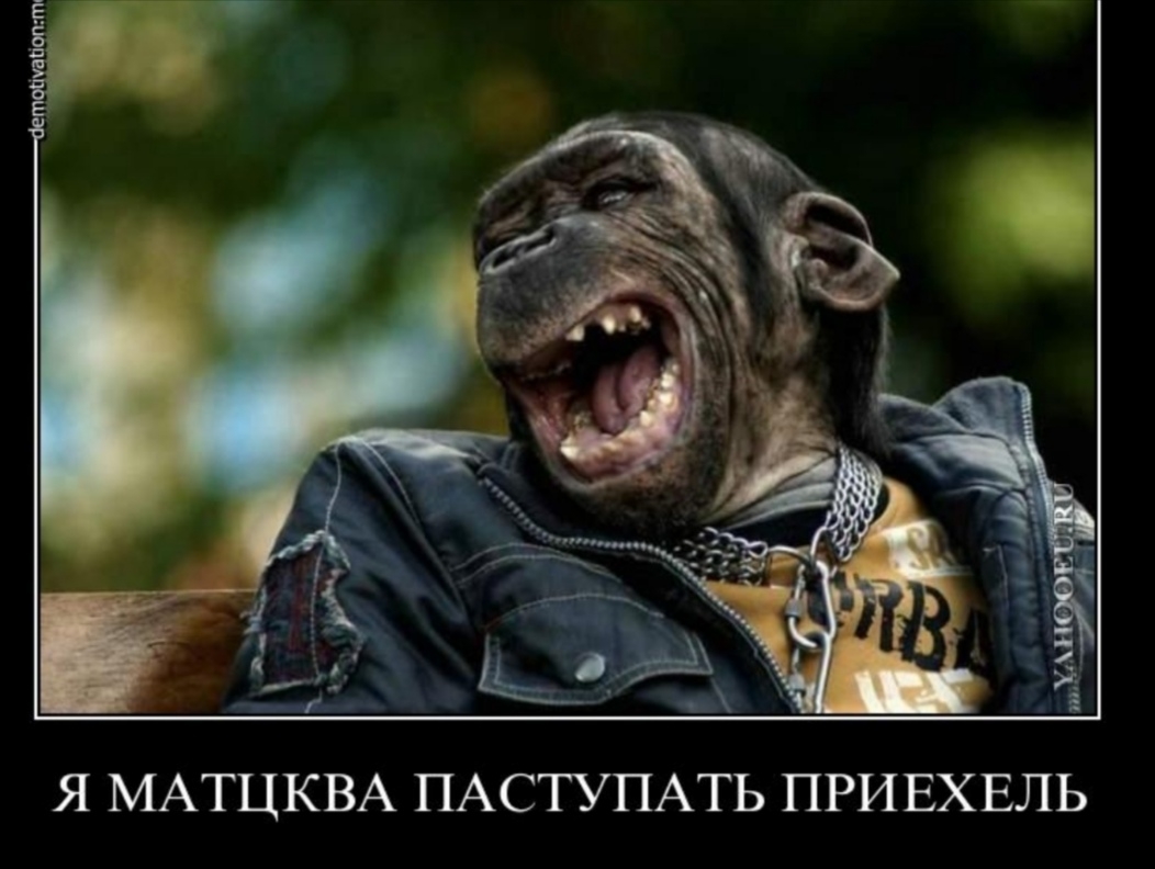Обхохочешься картинки