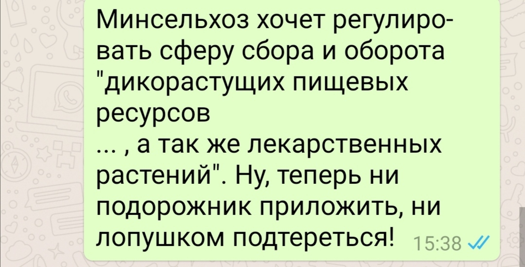 Минсельхоз хочет регулиро вать сферу сбора и оборота дикорастущих пищевых ресурсов а так же лекарственных растений Ну теперь ни подорожник приложить ни лопушком подтереться 3539