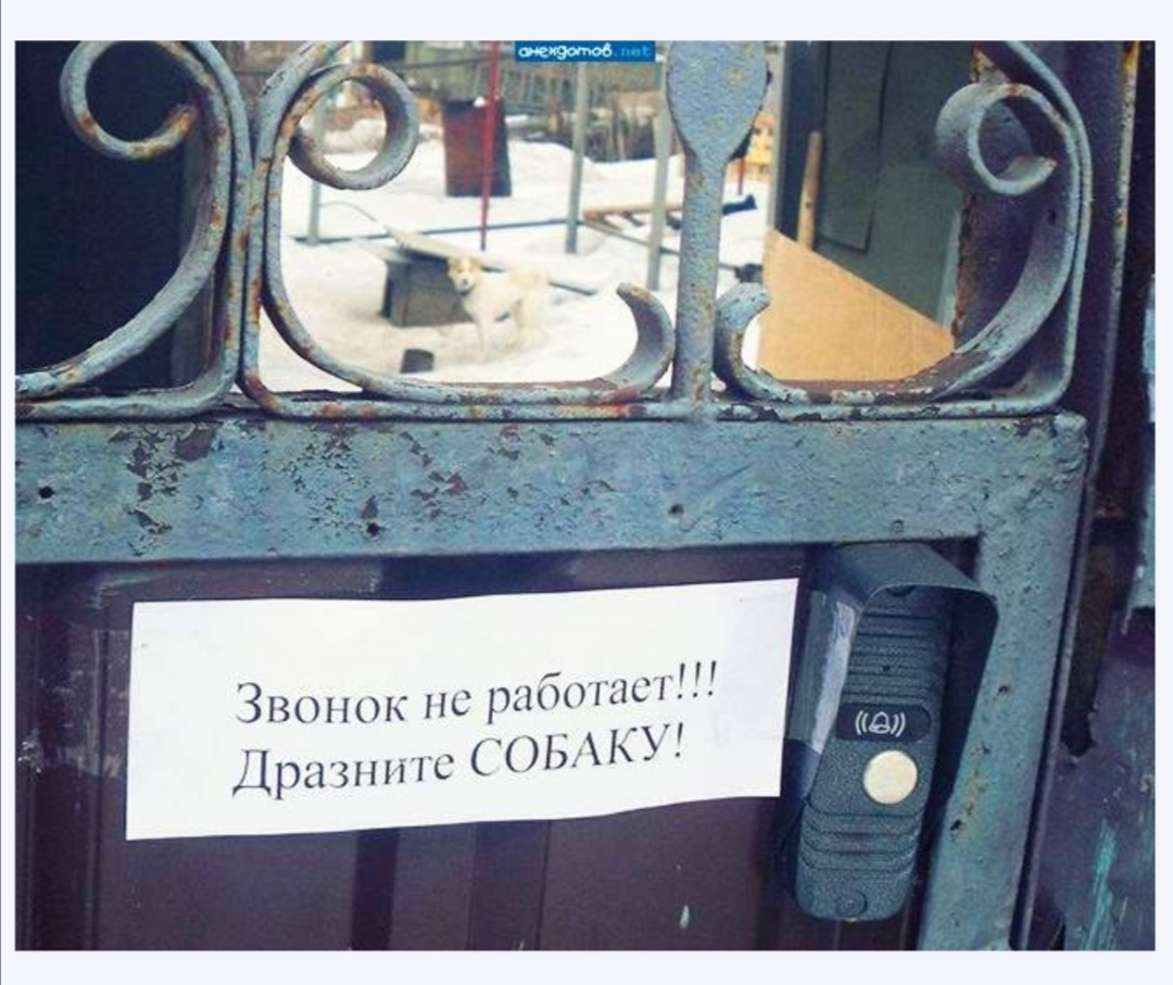 Звошж нс работы Дразшп с СОБАКУ