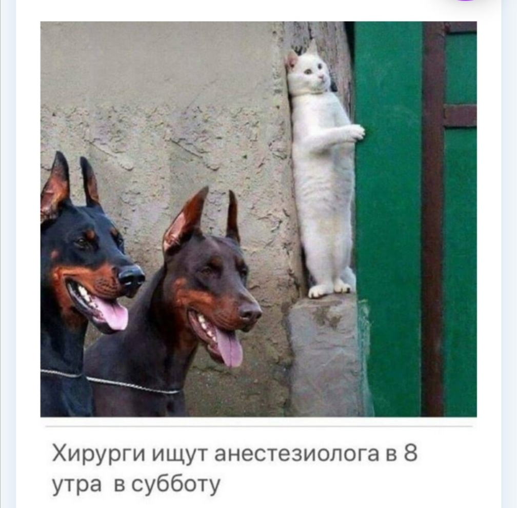 Хирурги ищут анестезиолога в 8 утра в субботу