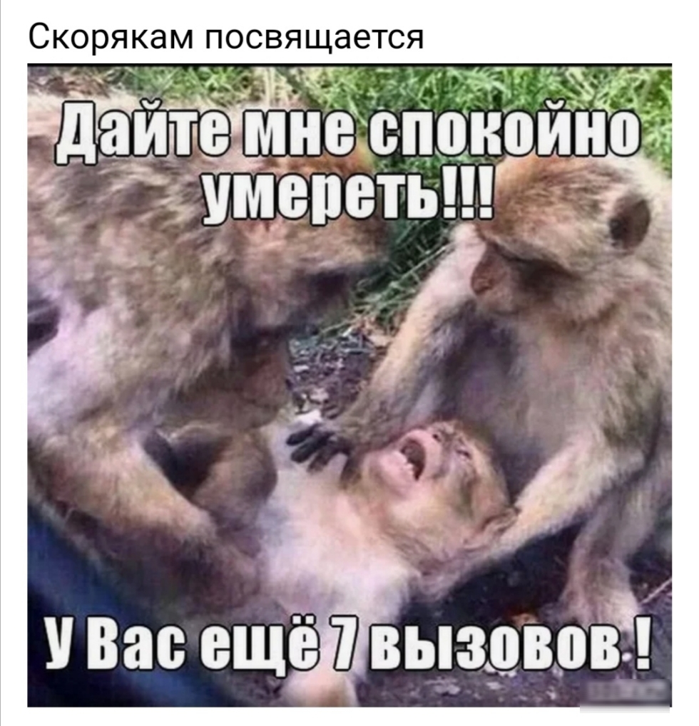 Скорякам посвящается даиіте мііе сппіііі _ умереть