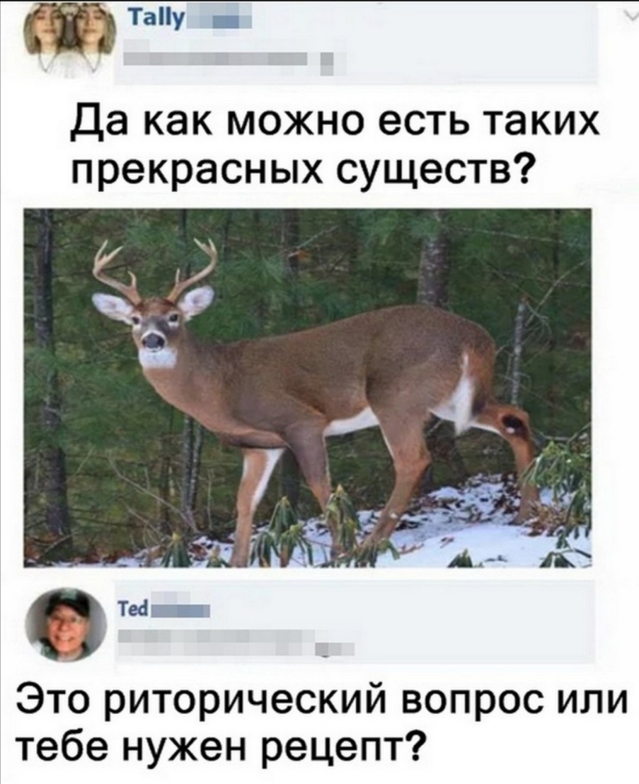 Да как можно есть таких прекрасных существ Это риторический вопрос или тебе нужен рецепт