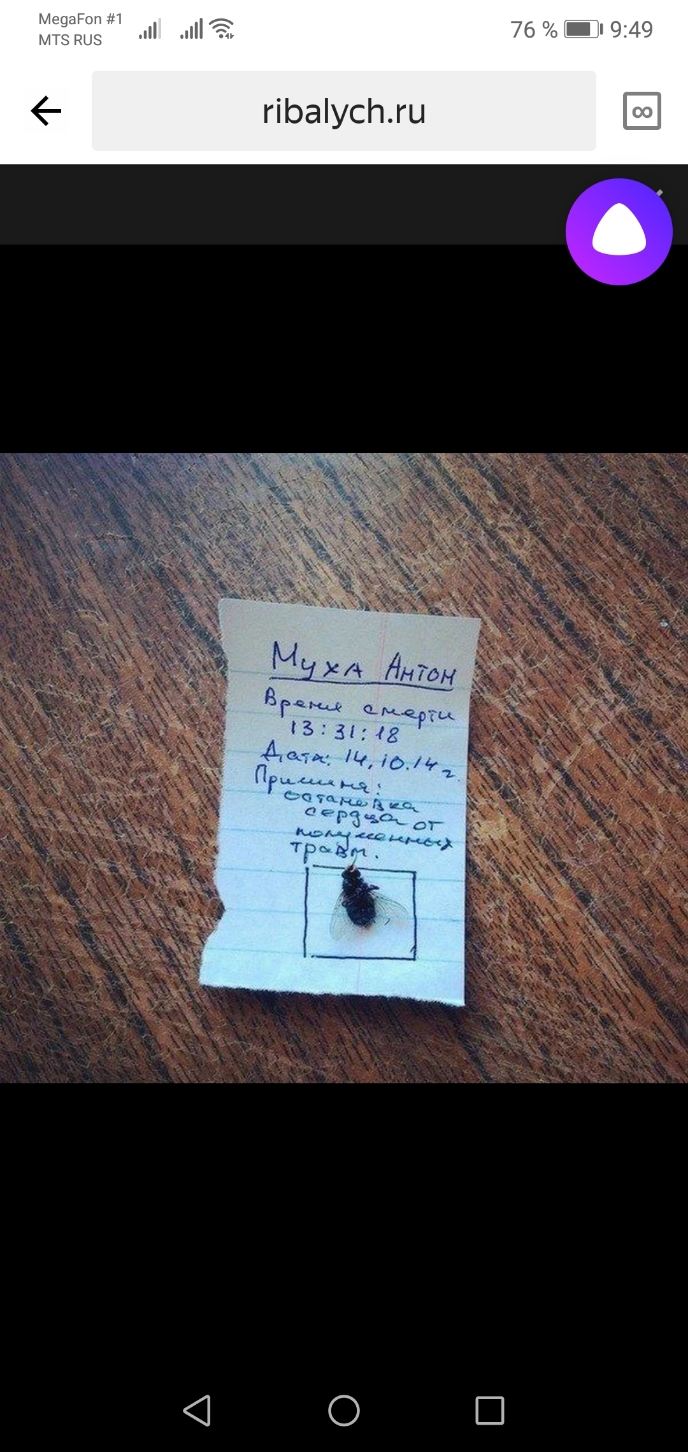 гіЬаіусЬ
