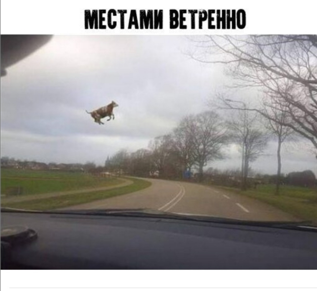мвстдми впинно __ _