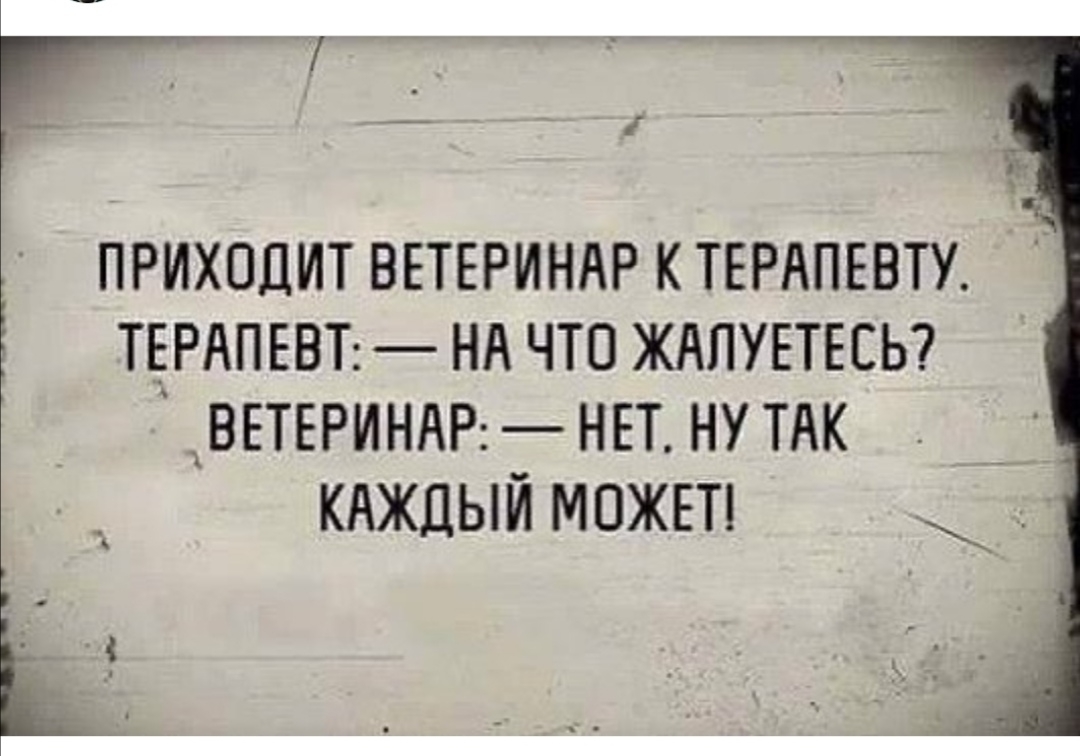 ПРИХОДИТ ВЕТЕРИНАР К ТЕРАПЕВТУ ТЕРАПЕВТ НА ЧТО ЖАЛУЕТЕЕЬ ВЕТЕРИНАР НЕТ НУ ТАК кдждый можвп