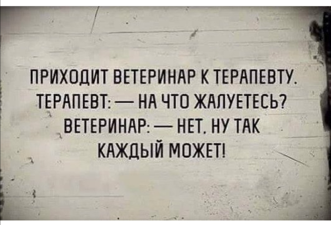 Г й ПРИХОДИТ ВЕТЕРИНАР К ТЕРАПЕВТУ Ё ТЕРАПЕВТ НА ЧТО ЖАПУЕТЕСЬ ВЕТЕРИНАР НЕТ НУ ТАК кдждый можвп