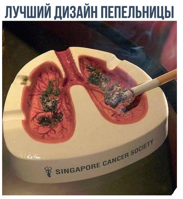 лучшии диздйн ПЕПЕЛЬНИЦЫ