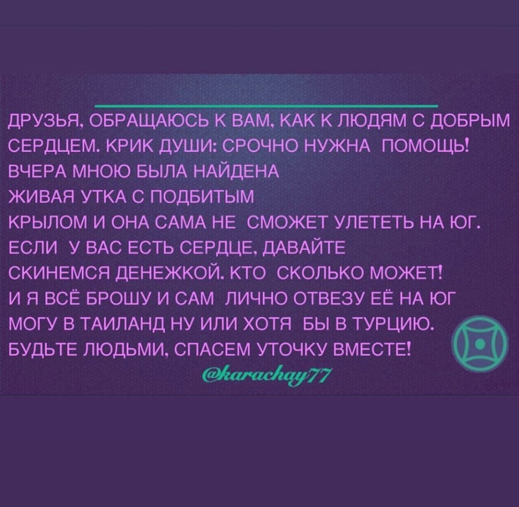 друзья ОБРАЩАЮСЬі вАм КАК к людям с доврым сердцем крик дУШИСРочНо НУЖНА ПОМОЩЬ ВЧЕРА мною БЫЛА НАЙДЕНА ЖИВАЯ УТКА с подвитым крылом и ОНА САМА НЕ сможвт УЛЕТЕТЬ НА юг ЕСЛИ у ВАС есть СЕРДЦЕ ДАВАЙТЕ скинвмся денежкой кто сколько МОЖЕТ и я ВСЁ БРОШУ и САМ лично отвезу ЕЁ НА юг могу в ТАИЛАНД ну или хотя вы в турцию БУДЬТЕ ЛЮДЬМИ СПАСЕМ УТОЧКУ ВМЕСТЕ 77