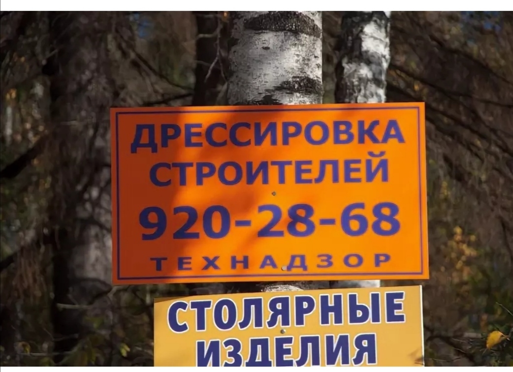 23 68